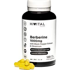 Berberine 1000mg 120 cápsulas vegetais Hivital Foods