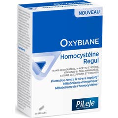 Pileje Oxybiane Homocisteína Regul 30caps