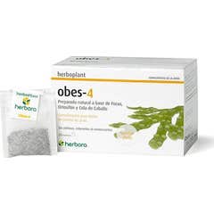 Herbore Obes 4 20 Envelopes