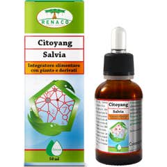 Citoyang Citoyang Sage Drops 50ml