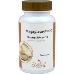 Auroshikha Garden of Nature Fragrance Incense Cones 20pcs