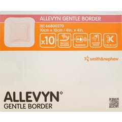 Allevyn Gentle Pans 10X10Cm 10