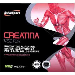 Creatina Vector 20Bust 8G