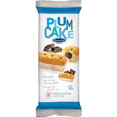 Dino Bononia Plumcake Ciocc.6X45G