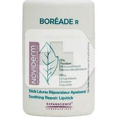 Boréade R bastão reparador 11ml