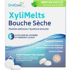 XyliMelts Boca Seca Menta Doce Sem Açúcar 40comp
