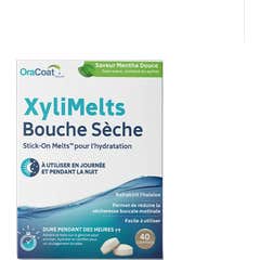 XyliMelts Boca Seca Menta Doce Sem Açúcar 40comp