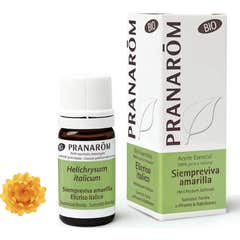 PranarÃ «m evergreen óleo amarelo BIO 5ml