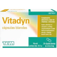 Vitadyn 30 Caps Blandas