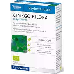 Pileje Phytostandard Gingko 20 Cápsulas