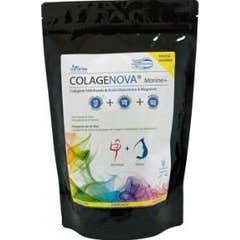 Vaminter Colágeno Marinho + Hyal + Mg 590g