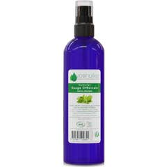 Voshuiles Hidrolato Sálvia Officinalis Cosmos 200 ml