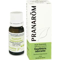 Óleo essencial de Pranarôm de Wintergreen ORGANIC 10ml