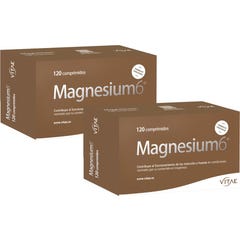 Vitae Magnesium6 2x120 comp