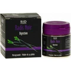 Rábano Sidn Gelu Preto Bt30