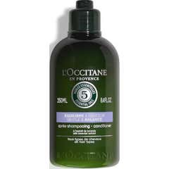 L'Occitane Ap Shp Balance & Softness