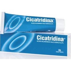 Farma Derma Cicatridina Pomada 60G