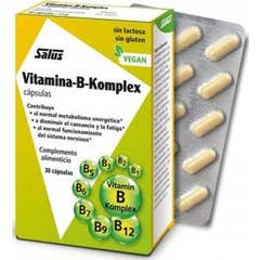 Salus Vitamin-B-Komplex 30caps