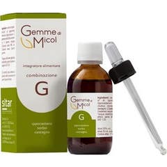 Sitar Gems Por Micol G 30ml