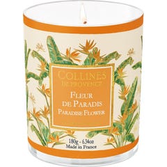 Collines de Provence Vela Perfumada Flor do Paraíso 180g