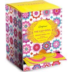 The Capsoul Pirámides Ensobradas Frutas del Bosque 15uds