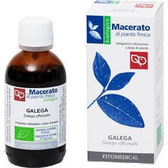 Fitomedical Abedul Tintura Madre Bio 50ml