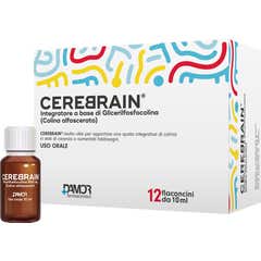 Cerebrain 12Fl 10Ml