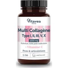Vitavea Multi Colagénio Tipo I II III V X 50comp