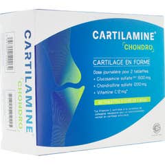 Cartilamina Chondro 60 Sachets