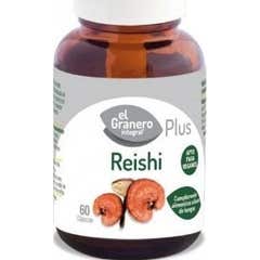 O Granary Intergral Plus Reishi 60 Cápsulas