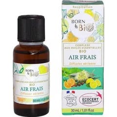 Born To Bio Óleos Essenciais Orgânicos Meditação 30 ml