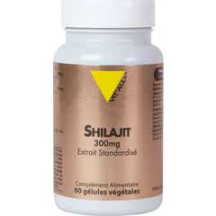 Vit'All+ Shilajit 300mg Extrato Padronizado 60caps