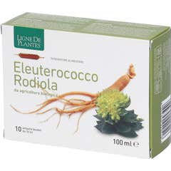 Ligne De Plantes Eleuterococco Rodiola 10x15ml