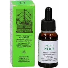 Alkaest Mgs11 Nogueira Mg Spg 20 ml