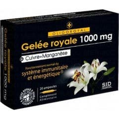 Oligoroyal Gr-Mn-Cu Amp 20