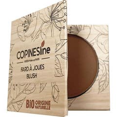 Linha Copines Blush de Chocolate 10g