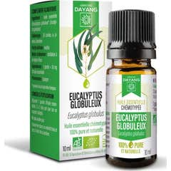 Óleo Essencial Dayang Eucalyptus Globulus 10ml