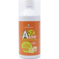 Vonderweid Aloe + Zenzero Digestivo 500ml
