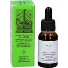 Alkaest Mgs9 Castaño de Indias Glicerina Macerada 20ml