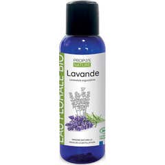 Proposta Natureza Hidrolato de Lavanda Orgânico 100ml