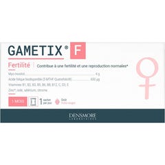 Densmore Gamtix F 30 sacos