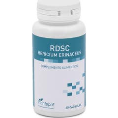 PlantaPol Rdsc Plus Melena de León 60caps