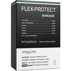 SynActifs Flex Protect 60 cápsulas