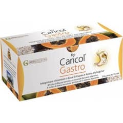 Green Remedies Bio Caricol Gastro 20 Sobres