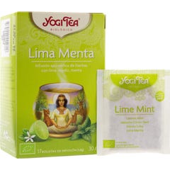 Yogi Tea cal e hortelã 17 sacos