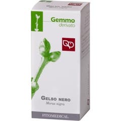 Fitomedical Mora Negra 100ml