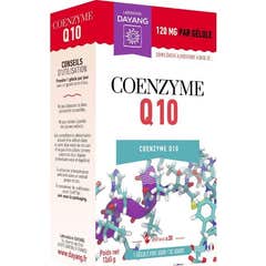 Dayang Coenzyme Q10 Gelul 30