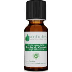 Voshuiles Óleo Essencial Cicuta Canadiana Tsuga 2 ml