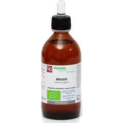 Fitomedical Brugo Glicerina Macerada Bio 100ml