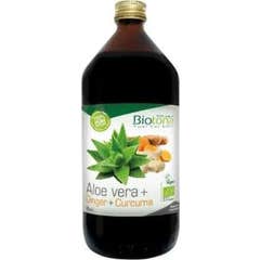 Suco Biotona Aloe Vera+ Gengibre+ Curcuma Bio 1L